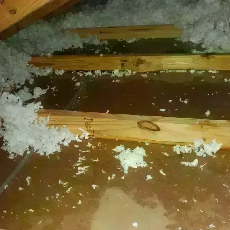 Attic Water Damage in Nicholasville, KY